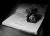 Роза, книга и некая тёмная романтика